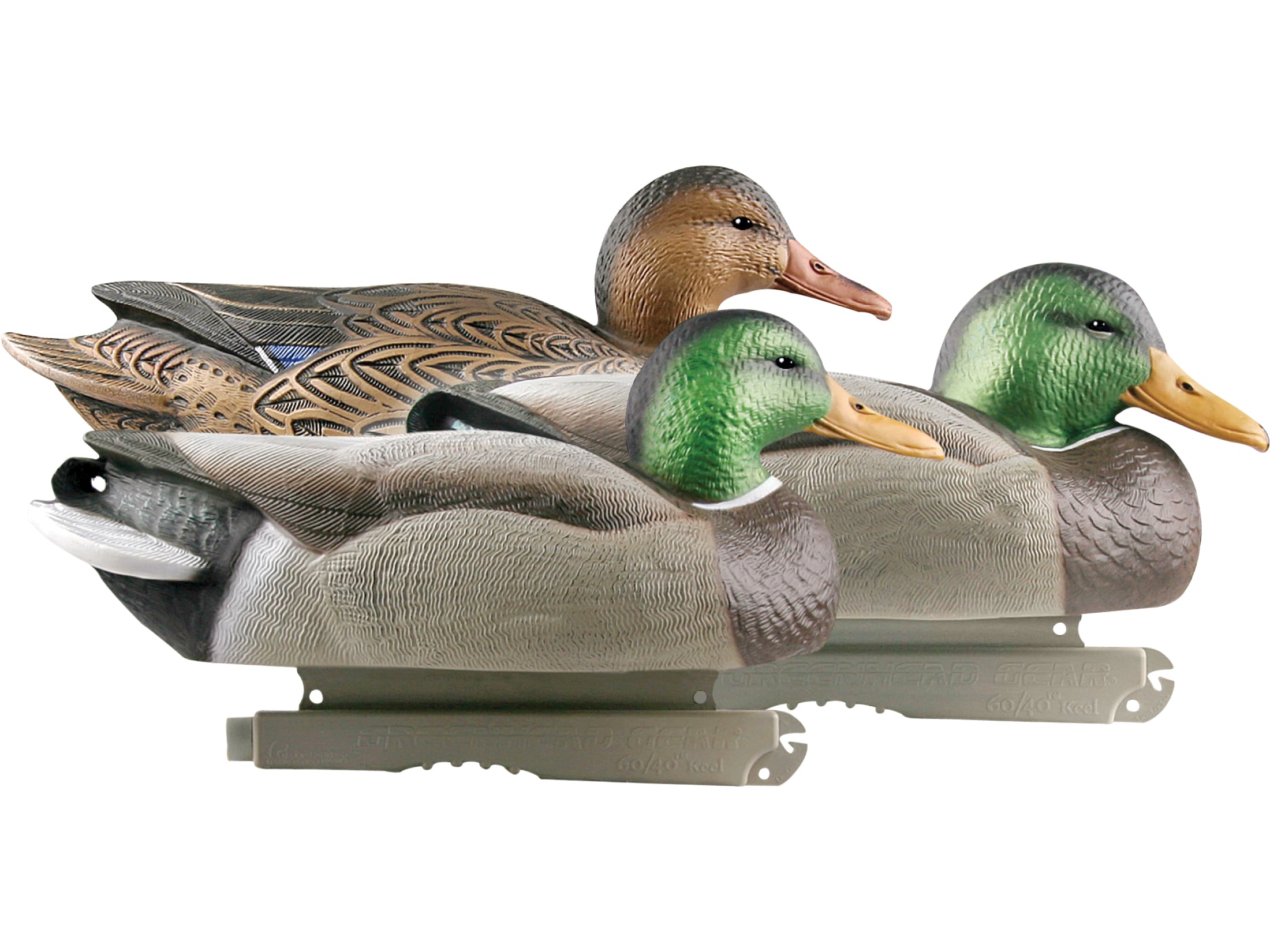 GHG LifeSize Mallard Duck Decoy 6PK